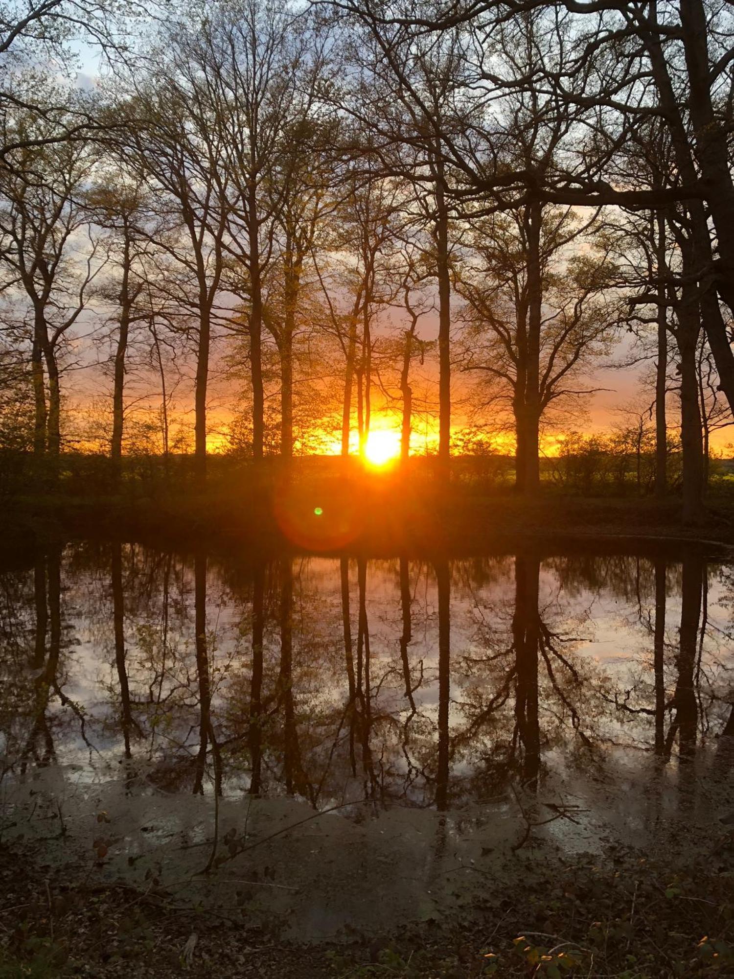 Rouge Maison Bois-Normand-près-Lyre Exteriör bild
